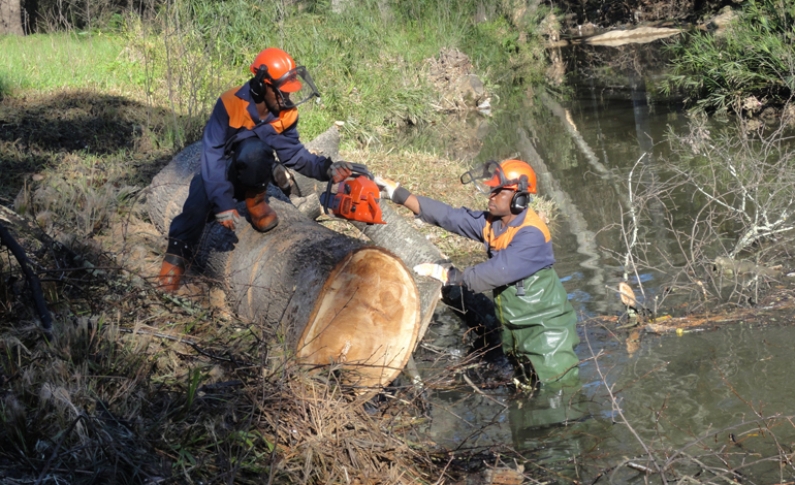 EPWP Stellenbosch River Restoration